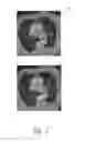 Fig. 07 - Shape-based image segmentation