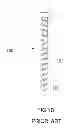 Fig. 04 - Screw