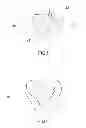 Fig. 08 - Screw