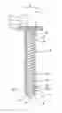 Fig. 01 - Hermetic reciprocating compressor