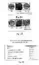 Fig. 06 - Nanoparticle and polymer formulations for thyroid hormone analogs, antagonists, and formulations thereof