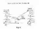 Fig. 09 - Nanoparticle and polymer formulations for thyroid hormone analogs, antagonists, and formulations thereof