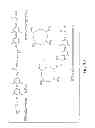 Fig. 41 - Nanoparticle and polymer formulations for thyroid hormone analogs, antagonists, and formulations thereof