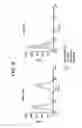 Fig. 35 - METHODS OF TREATING EPIDERMAL GROWTH FACTOR DELETION MUTANT VIII RELATED DISORDERS
