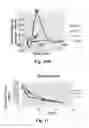 Fig. 07 - NANOPARTICLE THERAPEUTIC AGENTS, THEIR FORMULATIONS, AND METHODS OF THEIR USE