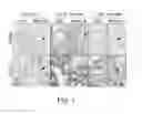 Fig. 02 - Cancer stem cell isolation