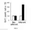 Fig. 06 - Cancer stem cell isolation
