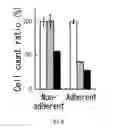 Fig. 09 - Cancer stem cell isolation