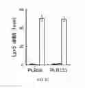Fig. 28 - Cancer stem cell isolation