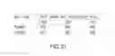 Fig. 32 - Cancer stem cell isolation