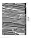 Fig. 07 - Desensitizing toothpaste