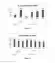 Fig. 05 - Method for Inhibiting Inflammation and Reducing Melanophilin Expression with Glycine Derivatives And the Composition Thereof