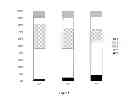 Fig. 04 - METHODS FOR DETERMINING TREATMENT RESPONSE IN PATIENTS INFECTED WITH HCV GENOTYPE 4