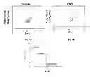 Fig. 03 - Compositions and methods for diagnosing and treating Sjogren's Syndrome
