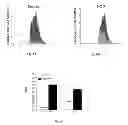 Fig. 07 - Compositions and methods for diagnosing and treating Sjogren's Syndrome