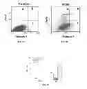 Fig. 08 - Compositions and methods for diagnosing and treating Sjogren's Syndrome