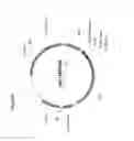 Fig. 10 - Protease-deficient 