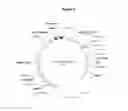 Fig. 13 - Protease-deficient 