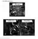 Fig. 11 - ENDOTHELIAL CELL CULTURE