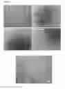 Fig. 17 - ENDOTHELIAL CELL CULTURE