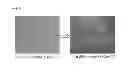 Fig. 03 - CELL PREPARATION FOR ERECTILE DYSFUNCTION OR SENSORY DISORDERS OF THE LOWER URINARY TRACT CONTAINING ADIPOSE TISSUE DERIVED MESENCHYMAL STEM CELLS