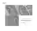 Fig. 16 - CELL PREPARATION FOR ERECTILE DYSFUNCTION OR SENSORY DISORDERS OF THE LOWER URINARY TRACT CONTAINING ADIPOSE TISSUE DERIVED MESENCHYMAL STEM CELLS
