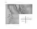 Fig. 17 - CELL PREPARATION FOR ERECTILE DYSFUNCTION OR SENSORY DISORDERS OF THE LOWER URINARY TRACT CONTAINING ADIPOSE TISSUE DERIVED MESENCHYMAL STEM CELLS