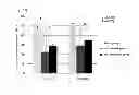 Fig. 24 - CELL PREPARATION FOR ERECTILE DYSFUNCTION OR SENSORY DISORDERS OF THE LOWER URINARY TRACT CONTAINING ADIPOSE TISSUE DERIVED MESENCHYMAL STEM CELLS