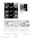 Fig. 02 - Method for preparing mesenchymal stem cell-like cells and cardiomyocyte-like cells