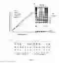 Fig. 07 - Method for preparing mesenchymal stem cell-like cells and cardiomyocyte-like cells