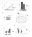 Fig. 02 - 2-hydroxyglutarate as a biomarker for chronic hypoxia