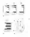 Fig. 04 - 2-hydroxyglutarate as a biomarker for chronic hypoxia