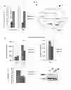 Fig. 05 - 2-hydroxyglutarate as a biomarker for chronic hypoxia