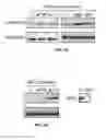 Fig. 09 - Compositions and methods for specific regulation of pyruvate dehydrogenase kinase