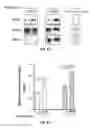 Fig. 13 - Compositions and methods for specific regulation of pyruvate dehydrogenase kinase