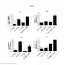 Fig. 04 - Vaccine adjuvant composition comprising inulin particles