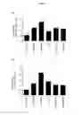 Fig. 07 - Vaccine adjuvant composition comprising inulin particles