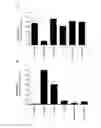 Fig. 08 - Vaccine adjuvant composition comprising inulin particles