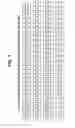 Fig. 02 - Endoglin antibodies