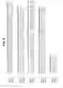 Fig. 09 - Endoglin antibodies