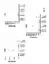 Fig. 02 - MCAM ANTAGONISTS AND METHODS OF TREATMENT