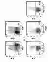 Fig. 04 - MCAM ANTAGONISTS AND METHODS OF TREATMENT
