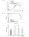 Fig. 13 - Methods to control protein heterogeneity