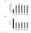 Fig. 34 - Methods to control protein heterogeneity
