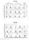 Fig. 06 - Immunogenic tumor associated stromal cell antigen peptides and methods of their use