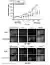 Fig. 25 - Serine protease molecules and therapies