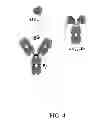 Fig. 07 - Polypeptides having antiviral activity and methods for use thereof