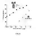 Fig. 09 - Polypeptides having antiviral activity and methods for use thereof