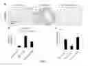 Fig. 06 - Signatures and determinants associated with prostate cancer progression and methods of use thereof