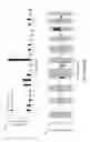 Fig. 09 - Signatures and determinants associated with prostate cancer progression and methods of use thereof